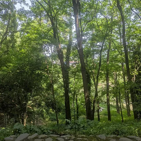 Cozy, Vue Sur Jardin, Proche Tram Centre Ville&aéroport *