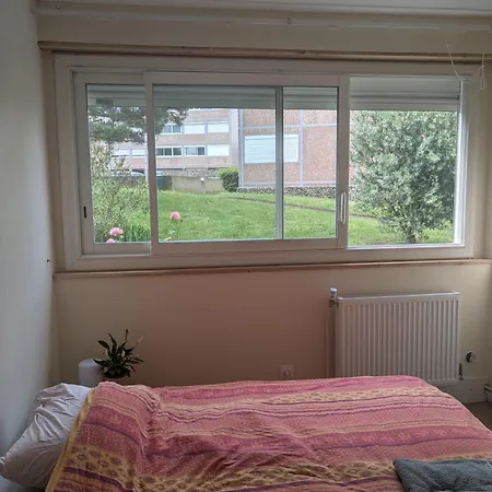 Cozy Et Verdoyante Homestay
