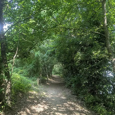 Cozy, Vue Sur Jardin, Proche Tram Centre Ville&aéroport