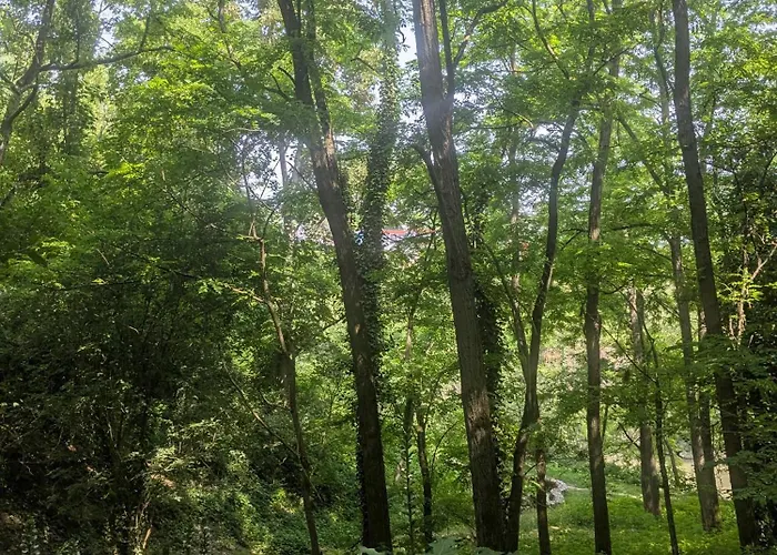 Cozy, Vue Sur Jardin, Proche Tram Centre & Aeroport *