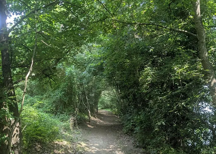 Cozy, Vue Sur Jardin, Proche Tram Centre & Aeroport