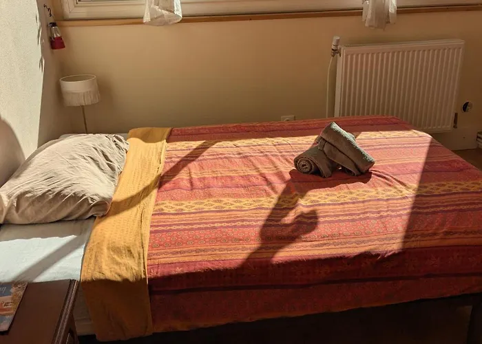 בית אירוח Cozy, Vue Sur Jardin, Proche Tram Centre & Aeroport *