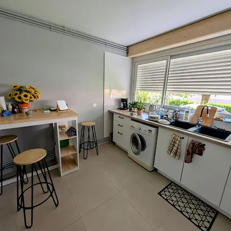 Cozy, Vue Sur Jardin, Proche Tram Centre & Aeroport トゥールーズ